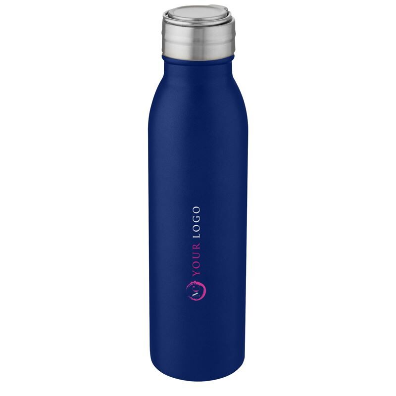 Harper 700 ml Stainless Steel Water Bottle With Metal Loop