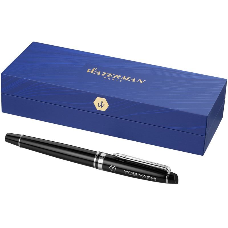 Waterman Expert Fountain Pen